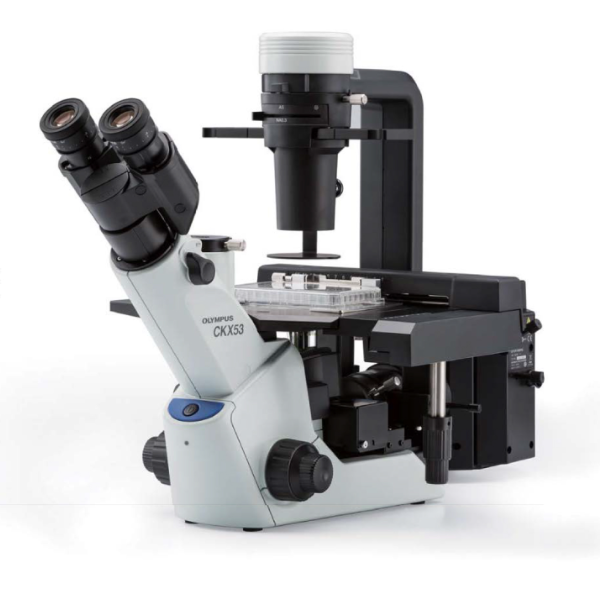 奥林巴斯荧光倒置显微镜CKX53