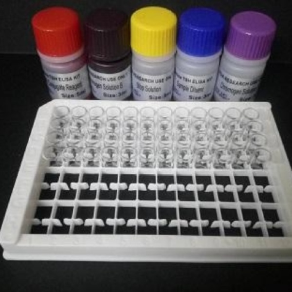 大鼠内皮型一氧化氮合成酶(eNOS)Elisa试剂盒
