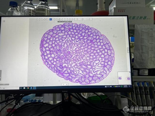 数字切片扫描仪怎么选？