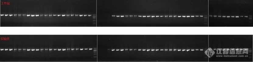 一机多用，分子实验室的“超人”——NEMO全功能移液工作站