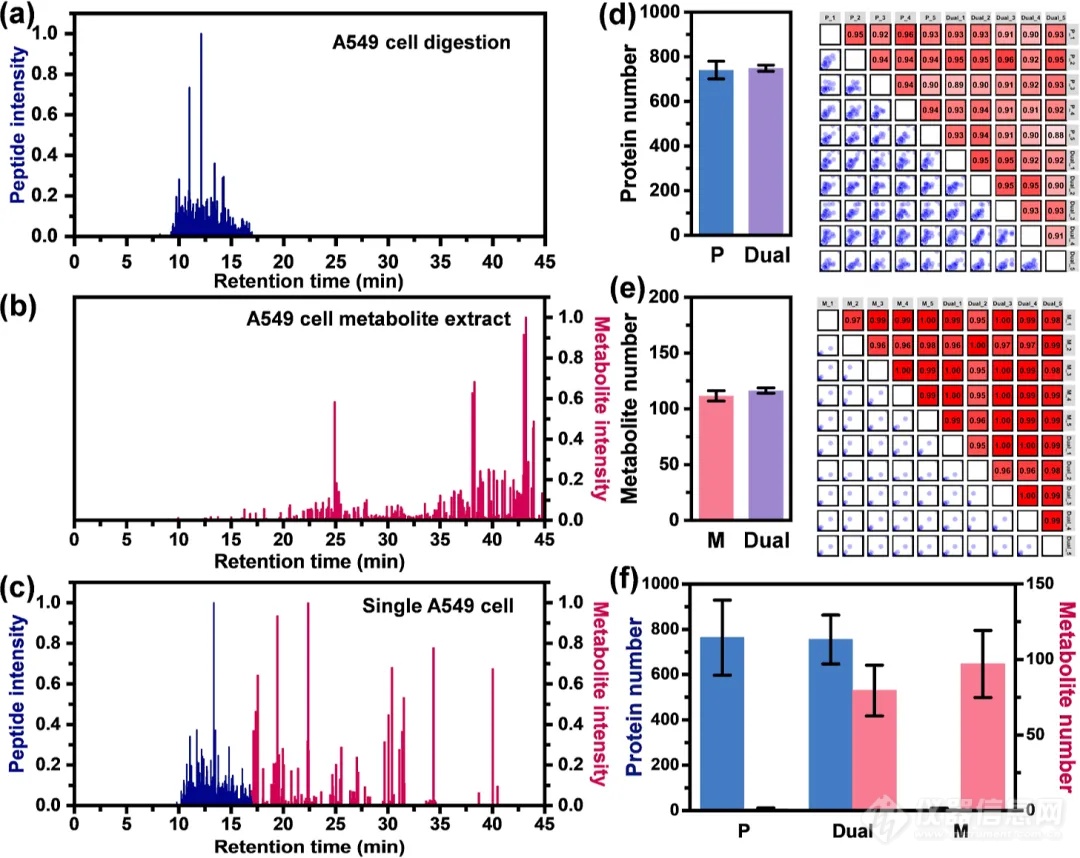 一次性单细胞蛋白质组和代谢组同步分析策略