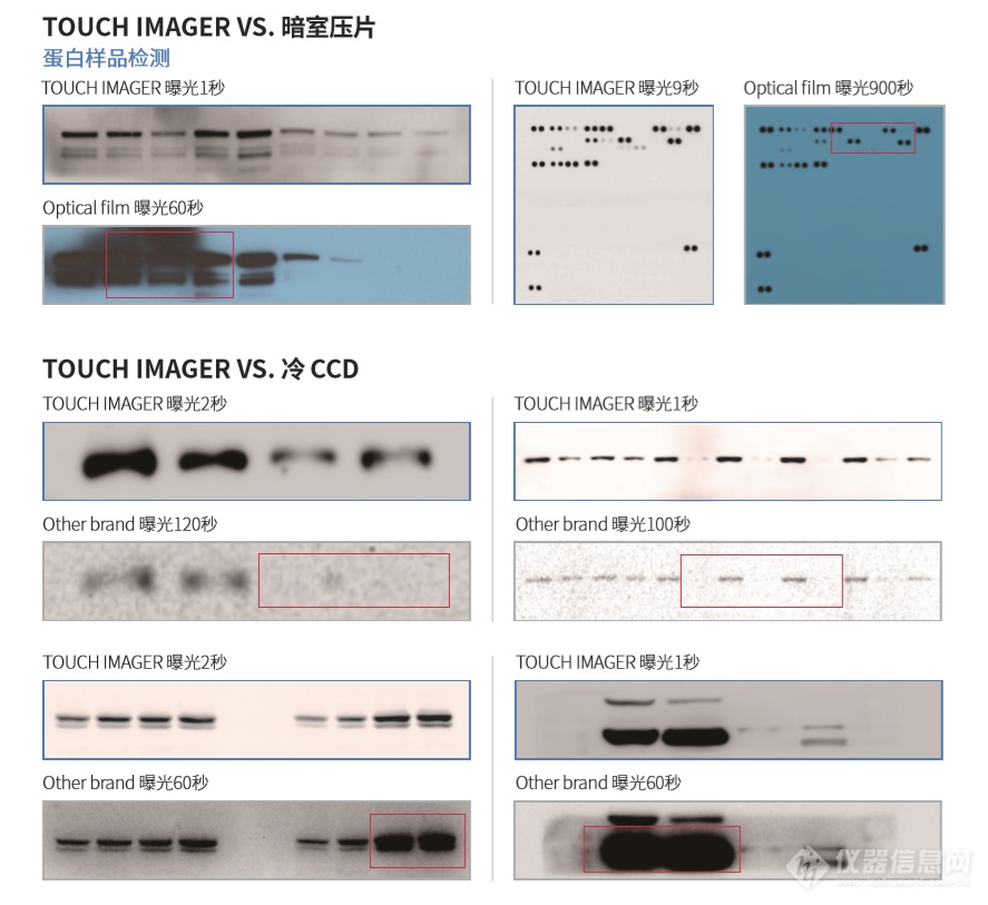 “40年后，重新定义Western-blot成像技术”——走访易孛特生命科学（上海）有限公司（e-BLOT）