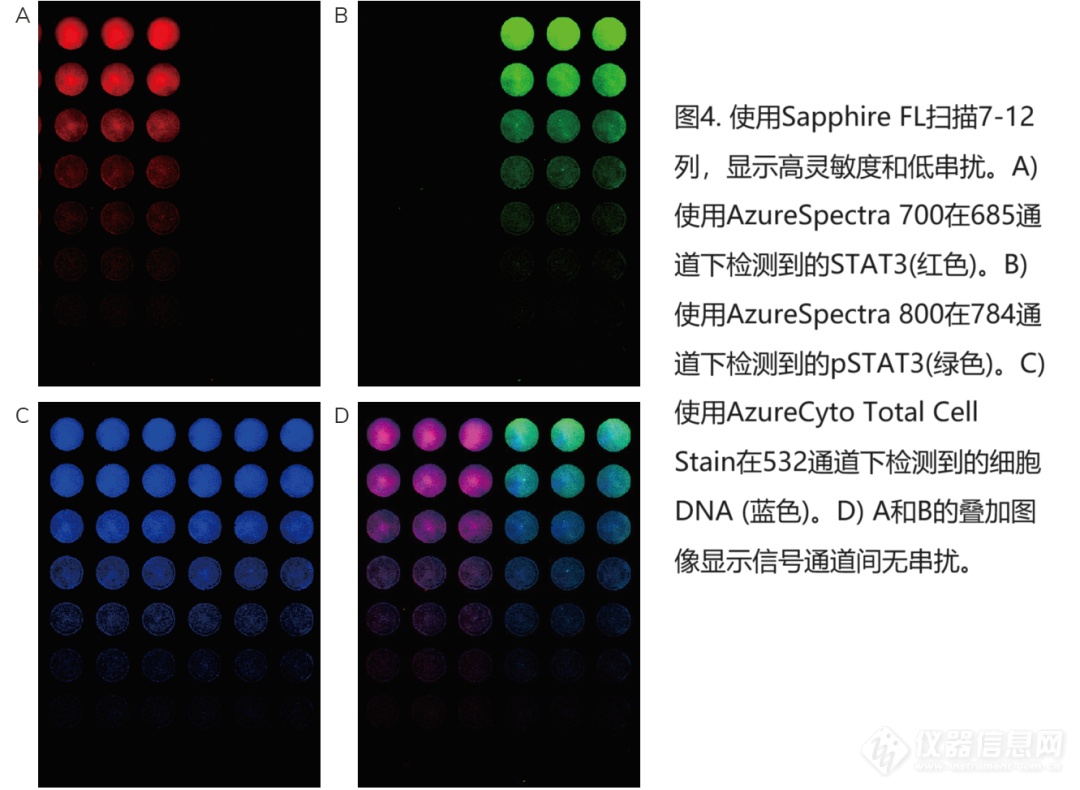 Sapphire FL卓越解决方案—助力释放In-Cell Western更多可能