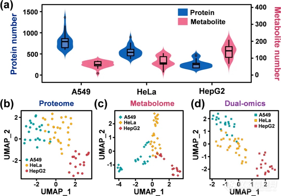 一次性单细胞蛋白质组和代谢组同步分析策略
