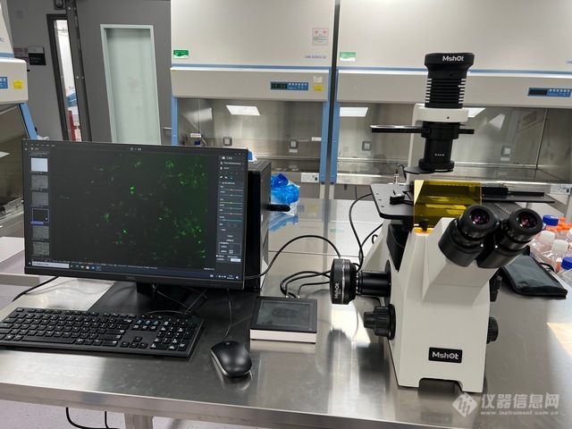 明美倒置荧光显微镜应用深圳理工活细胞与荧光转染细胞观察