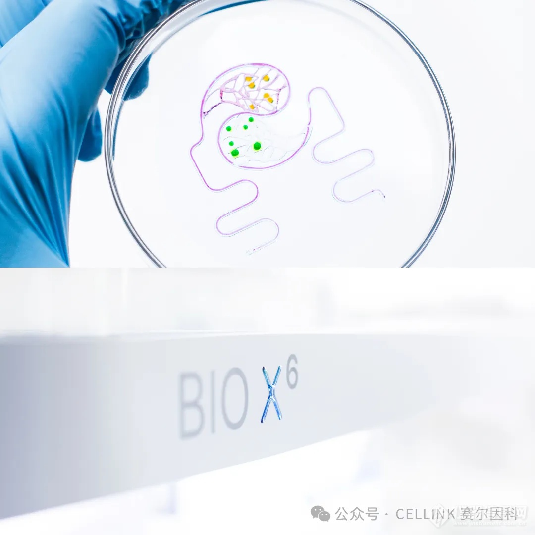 告别2D细胞培养限制，迈向 BIO X6