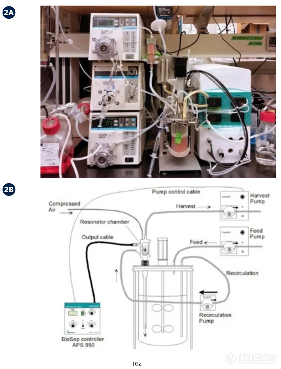 一种先进的用于高细胞浓度灌流培养的声学截留系统-BioSep