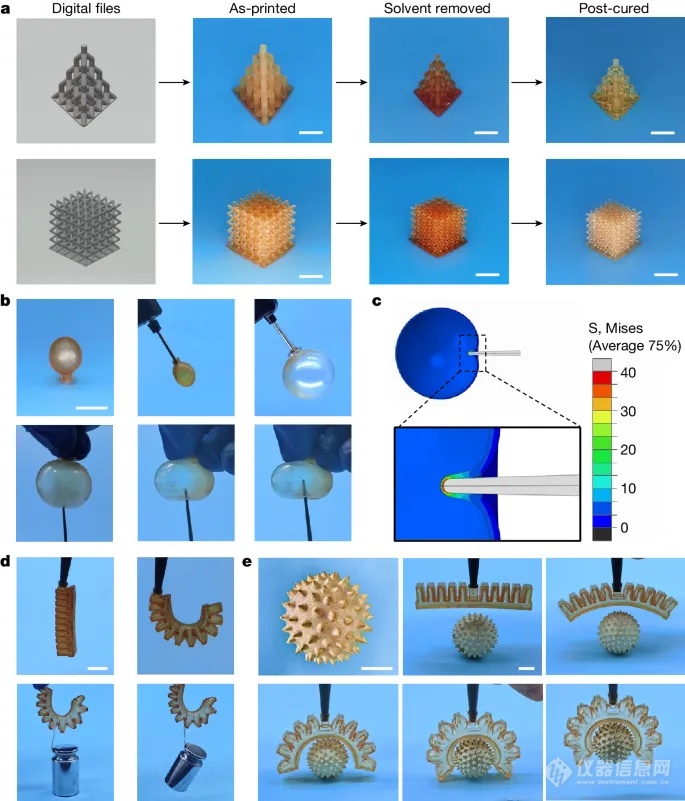 浙江大学，最新Nature！超强韧3D打印弹性体问世