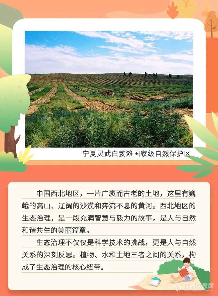 混合种植具有相同水分利用策略的树种可能会导致深层土壤水分亏缺