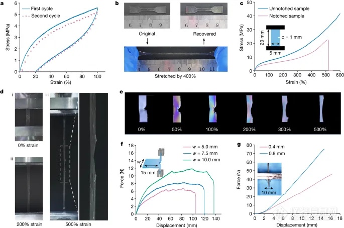 浙江大学，最新Nature！超强韧3D打印弹性体问世