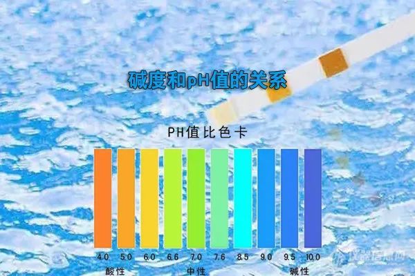 pH与碱度的关系？