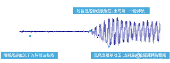 700 0724220301_副本.jpg