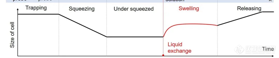 名古屋大学、东京大学和东北大学：双泵探针与微流控芯片集成，用于测量单细胞瞬态响应