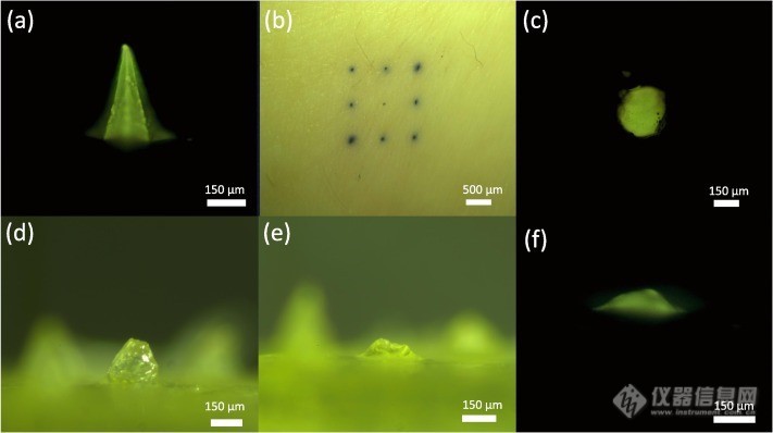 Biofluidix 压电式纳升分液装置Pipejet用于透皮给药系统