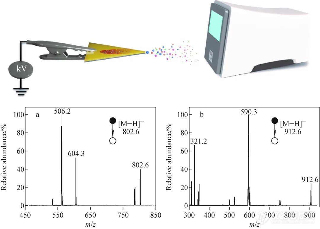 质谱学报推荐 | 薄层纸喷雾离子化-小型便携式质谱法即时检验血液中免疫抑制剂