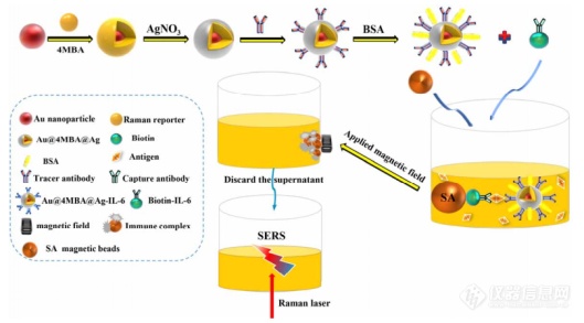 基于表面增强拉曼散射光谱法定量检测血清中白细胞介素-6