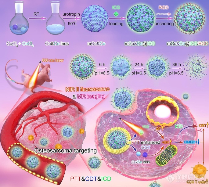 针对骨肉瘤的Cu和Ce基氧化物纳米平台，用于NIR-II荧光/磁共振双模成像和ros级联扩增以及免疫