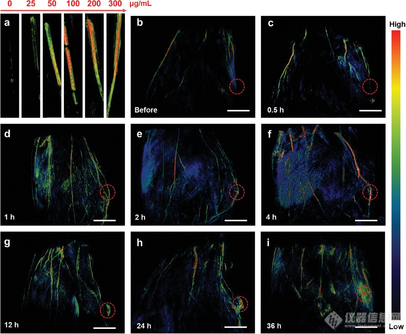 构建一种新型水溶性分子应用于NIR-II多功能成像和光热治疗