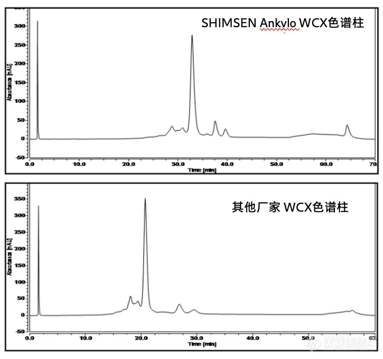 探索抗体药物的奥秘｜离子交换，电荷异质体分离绝佳选择