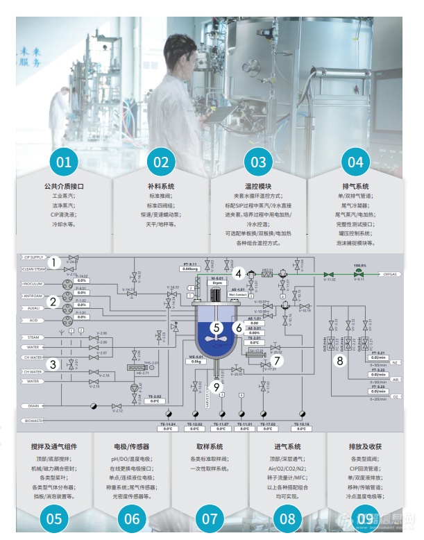 不锈钢生物反应器