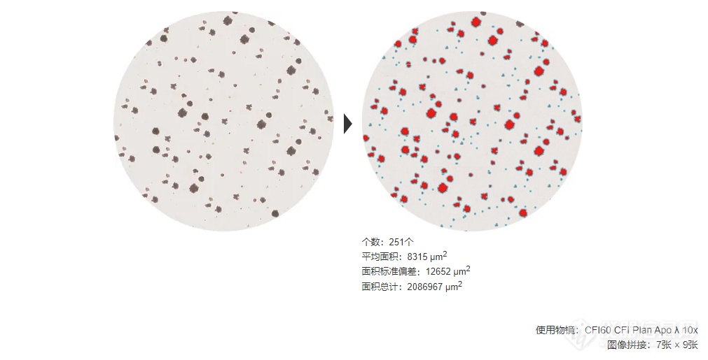 菌落计数与面积测量的高效化