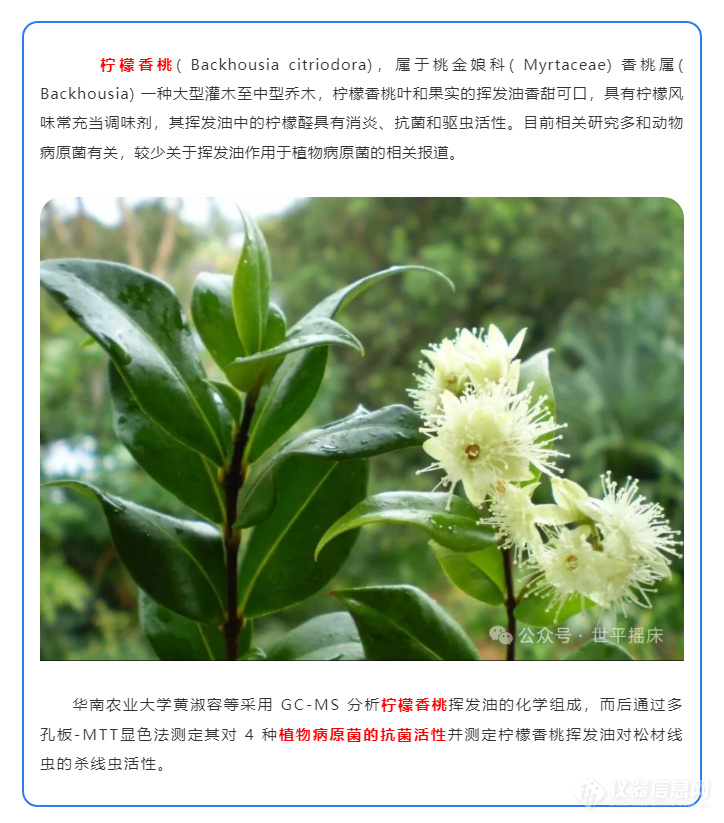 产品应用 | 摇床在柠檬香桃挥发油成分分析及杀线虫和抗细菌活性的应用