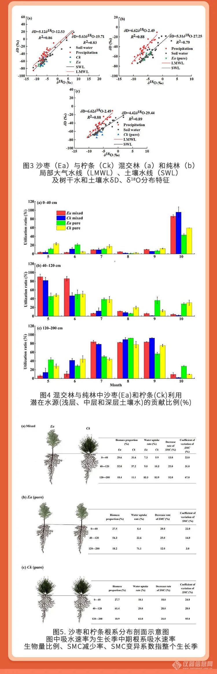 混合种植具有相同水分利用策略的树种可能会导致深层土壤水分亏缺