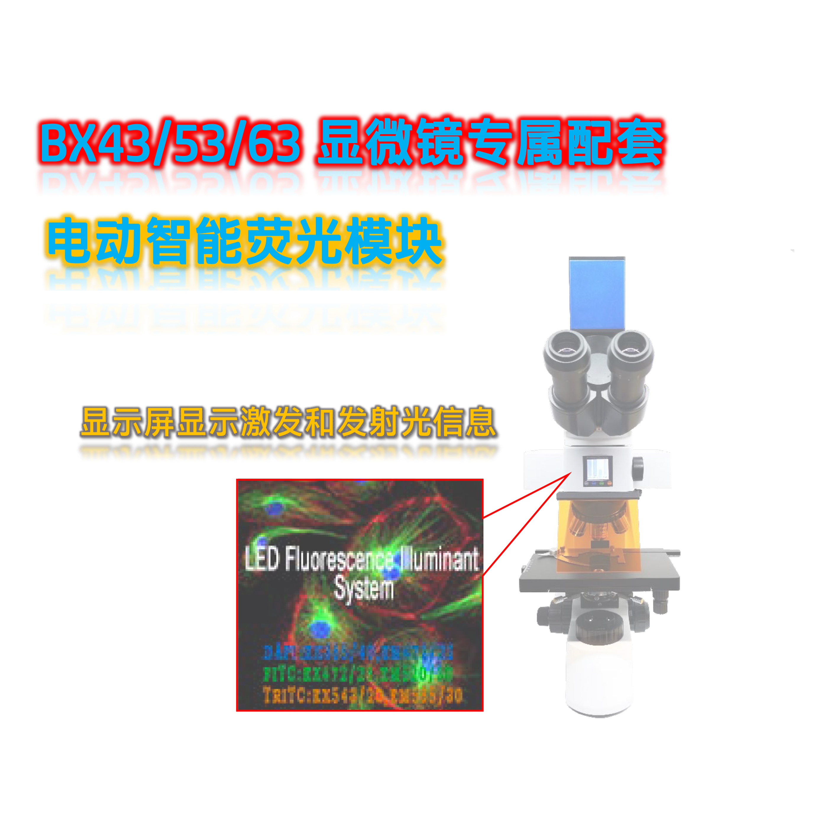 奥林巴斯显微镜荧光附件BX43双色LED电动荧光模块BX-BG-E