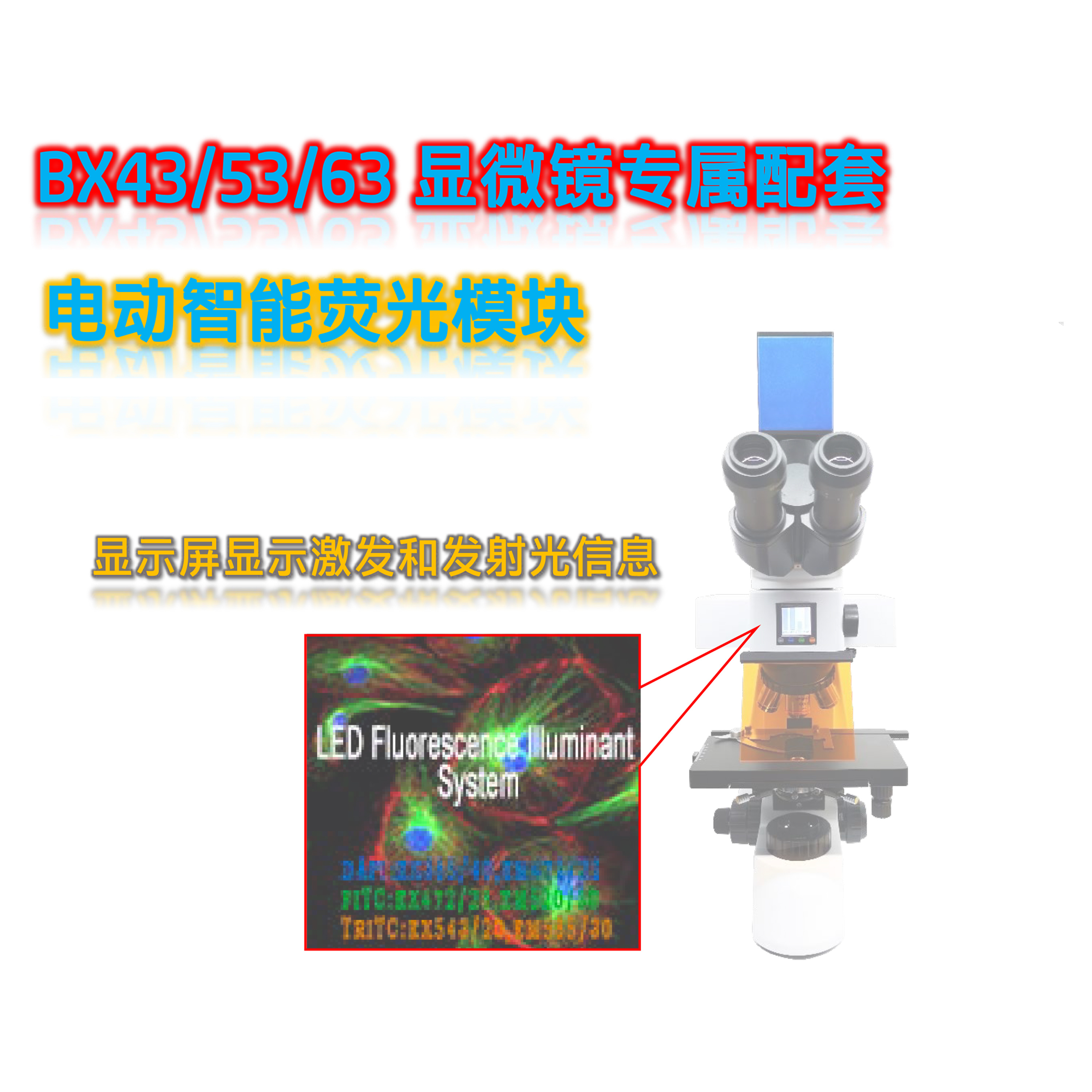 奥林巴斯BX43显微镜用荧光附件正置荧光BX-UVBGY-E