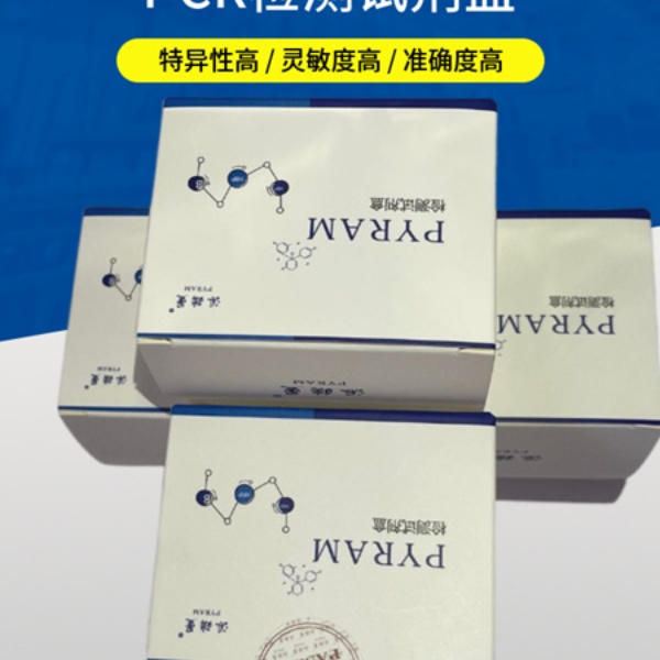 2×Taq Plus PCR MasterMix( 含绿染料） 2×Taq Mix高产量预混液