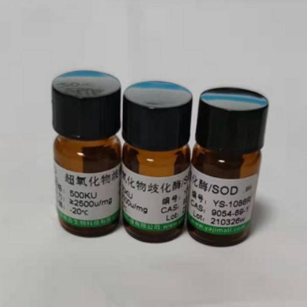 EB替代物——6XSafe Dye Loading Buffer