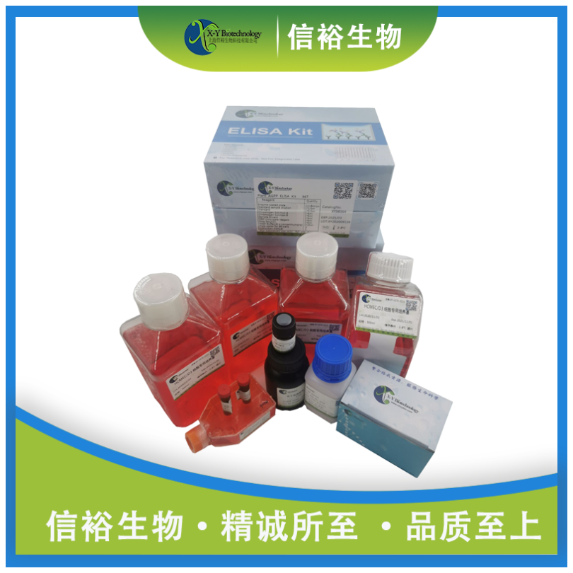 Rat Nfe2l2(Nuclear Factor, Erythroid Derived 2 Like Protein 2) ELISA Kit XY9R0666