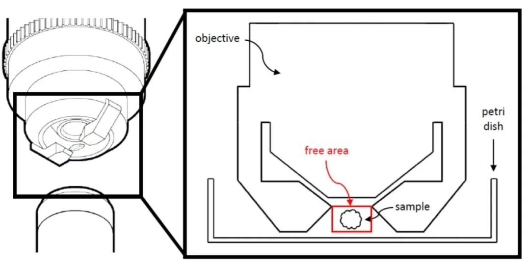 显微课堂 | 使用 U 形玻璃毛细管进行样品装载