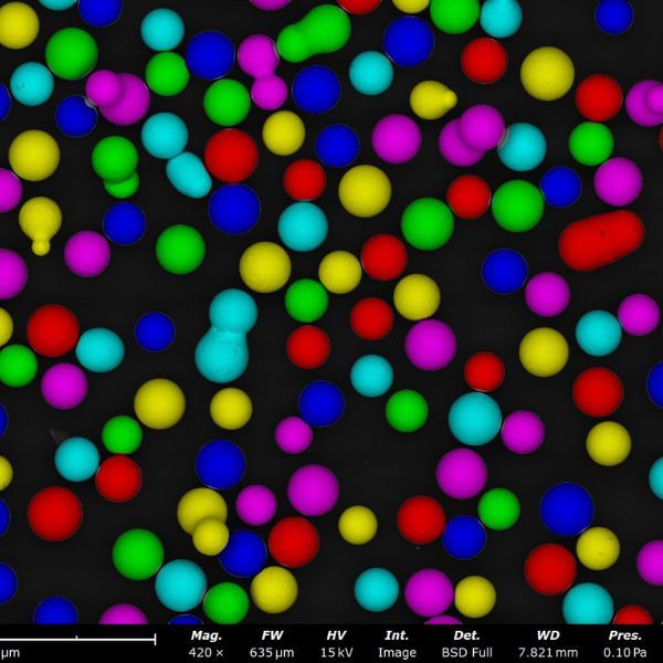 Phenom Particle Metric 颗粒测试