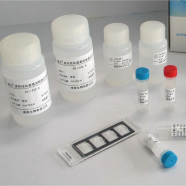 人核因子E2相关因子2(Nrf2)ELISA试剂盒