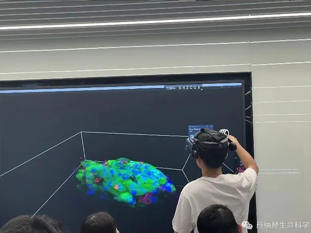 前沿聚焦，开创未来-丹纳赫生命科学联合精科医学成功举办类器官培养与成像分析技术高级培训班