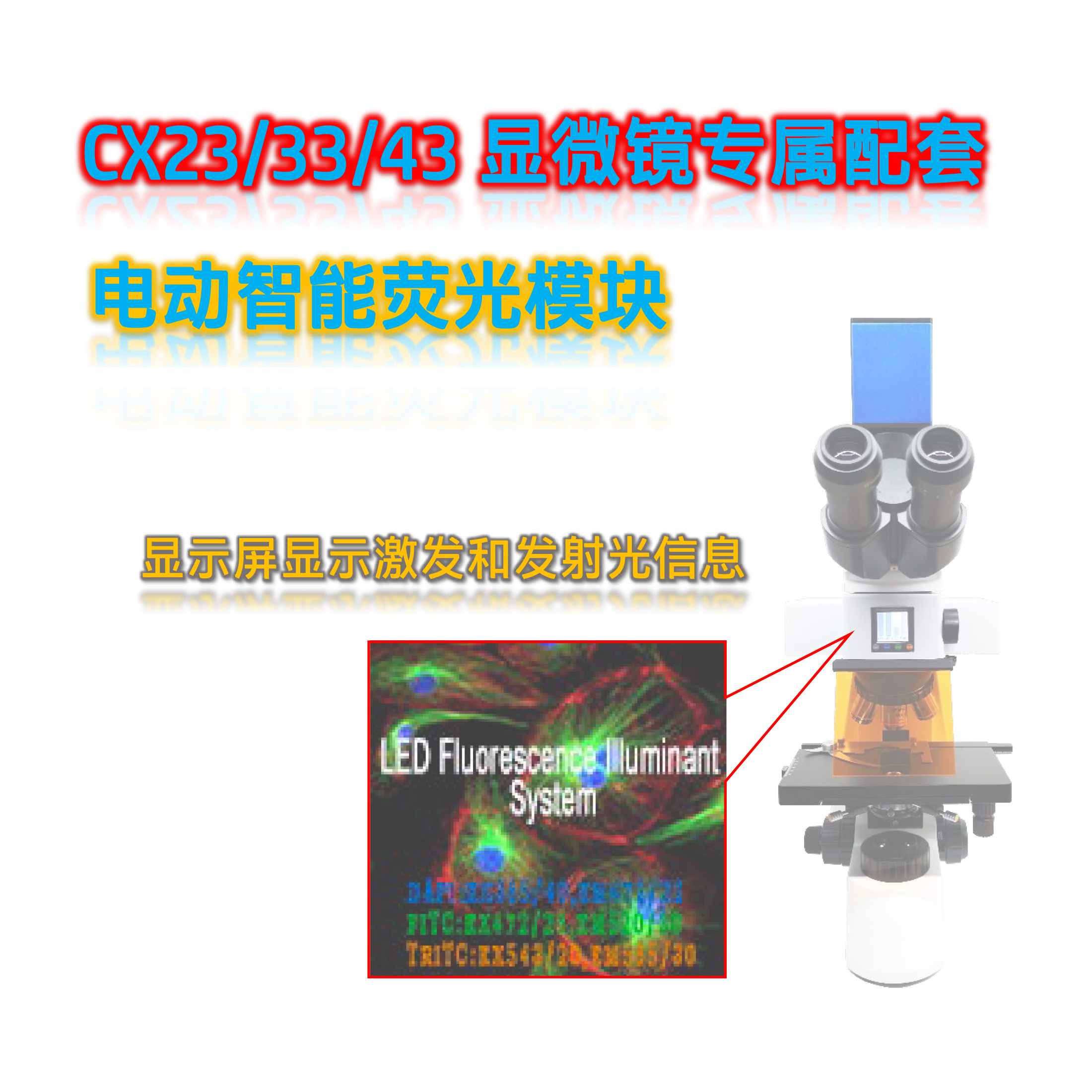 奥林巴斯显微镜CX43用荧光附件正置荧光模块CX43-UVBG-E 