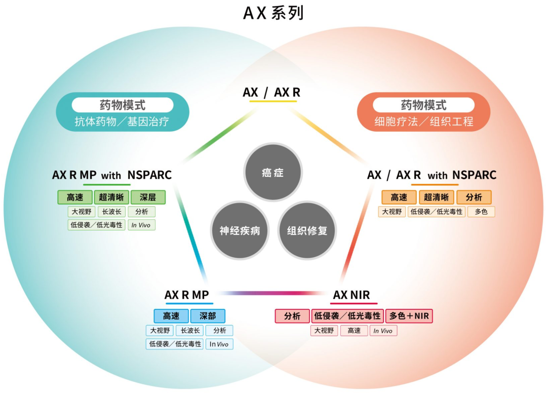 【软件升级】“AX R with NSPARC 2K”尼康超分辨率共聚焦显微镜