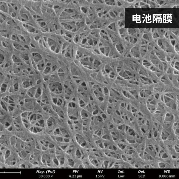 Phenom ProX_2 飞纳电池领域扫描电子显微镜