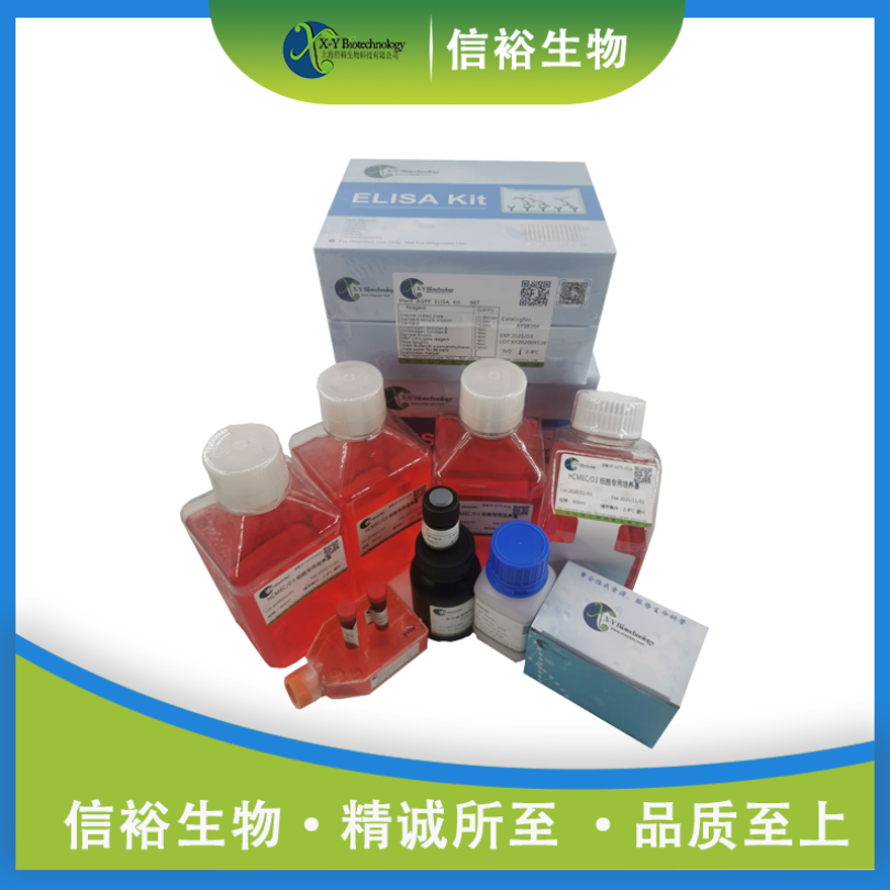 Rat sFAS/sAPO-1(Soluble Factor-Related Apoptosis) ELISA Kit XY9R1334