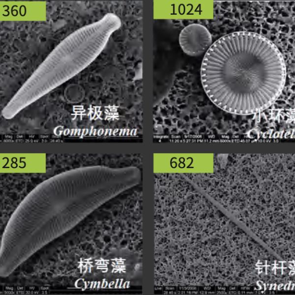 自动硅藻检验 DiatomScopeTM