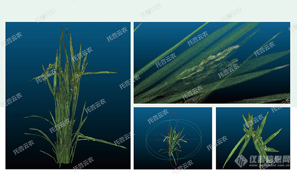 托普云农高通量植物表型采集分析平台全新上线！