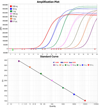 qPCR mix荧光定量PCR Mix