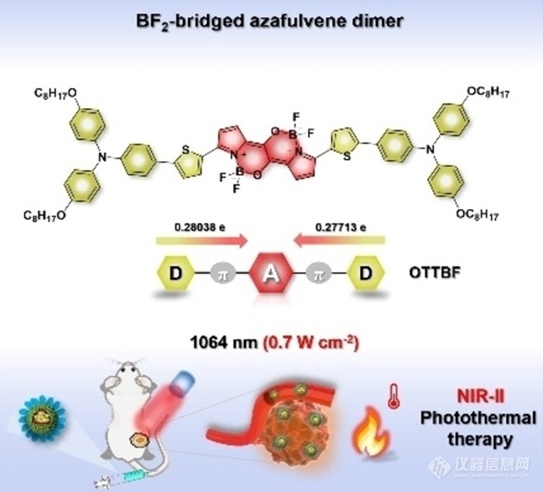 BF2桥联Azafulvene二聚体作为高级光热剂使用1064nm激光驱动用于深部肿瘤治疗