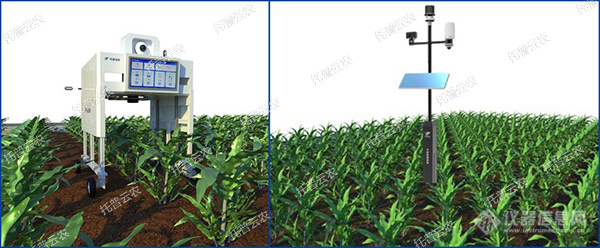 托普云农高通量植物表型采集分析平台全新上线！