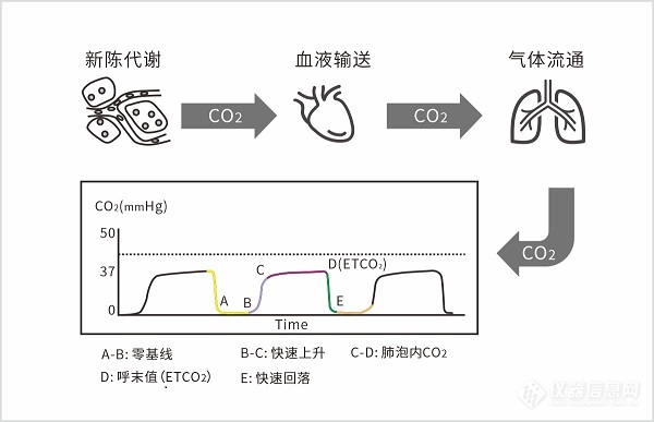 探索呼吸健康：ETCO2的临床的应用