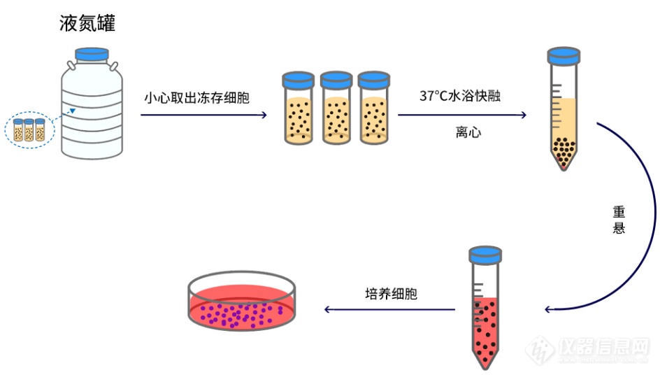 QQ截图20240823132541.png