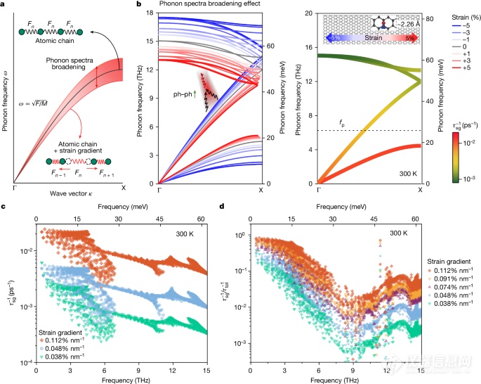 仪器情报，科学家首次揭示非均匀应变下声子谱扩展对导热的反常抑制现象！