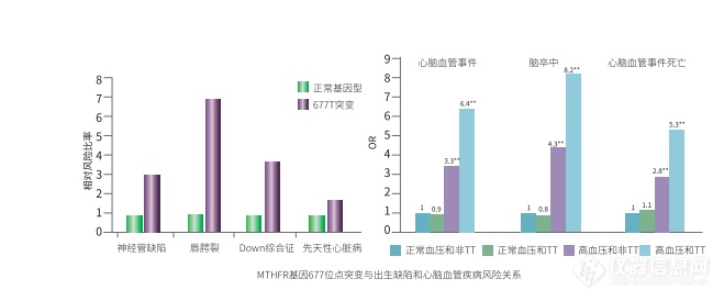 叶酸个体化用药微测序解决方案