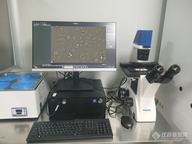 MSHOT明美携手大型细胞科技公司